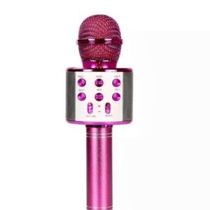 Microphone speaker