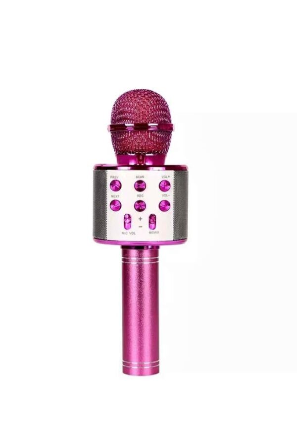 Microphone speaker