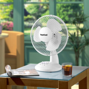 Desk Fan